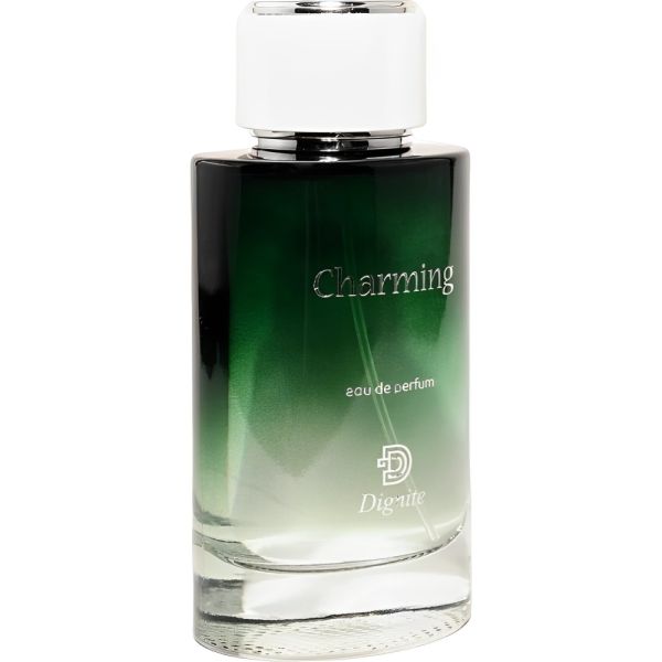 Dignite Charming EDP Masculino 100mL