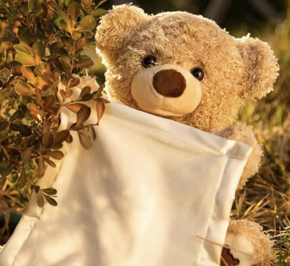 PELUCHE OSITO QUE HABLA Y SE ESCONDE